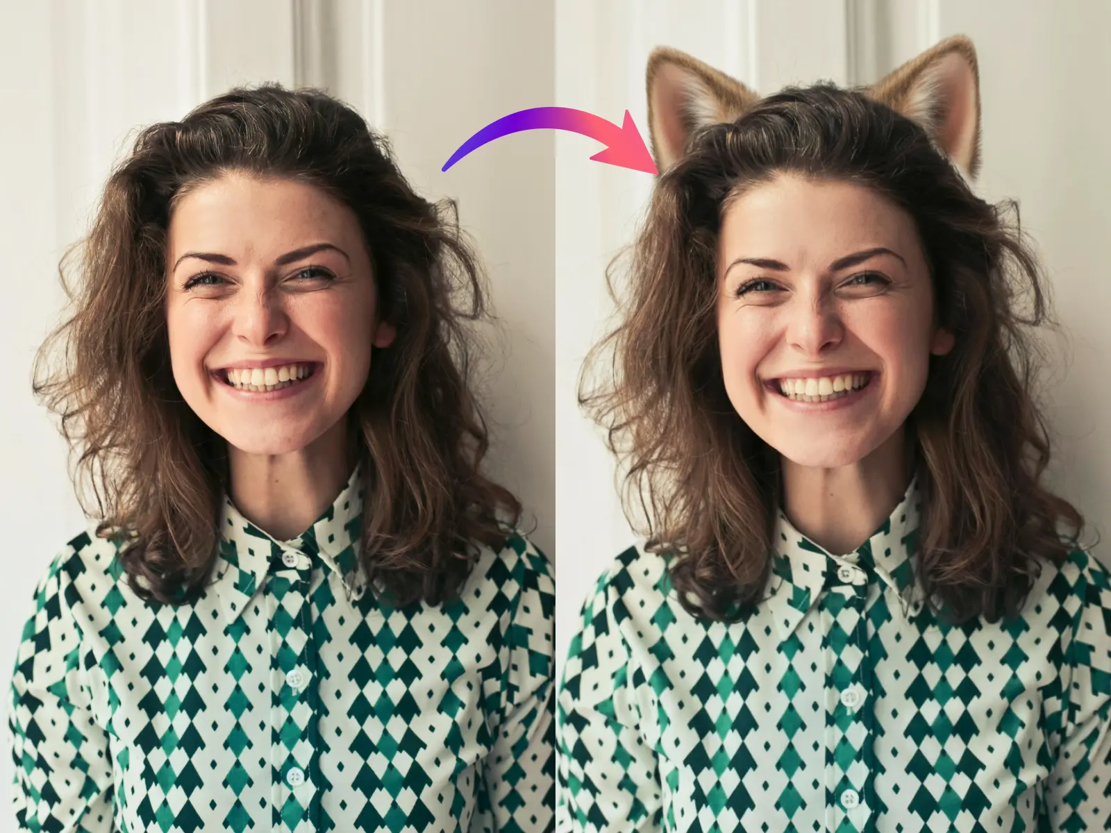 add cat ears to your photo