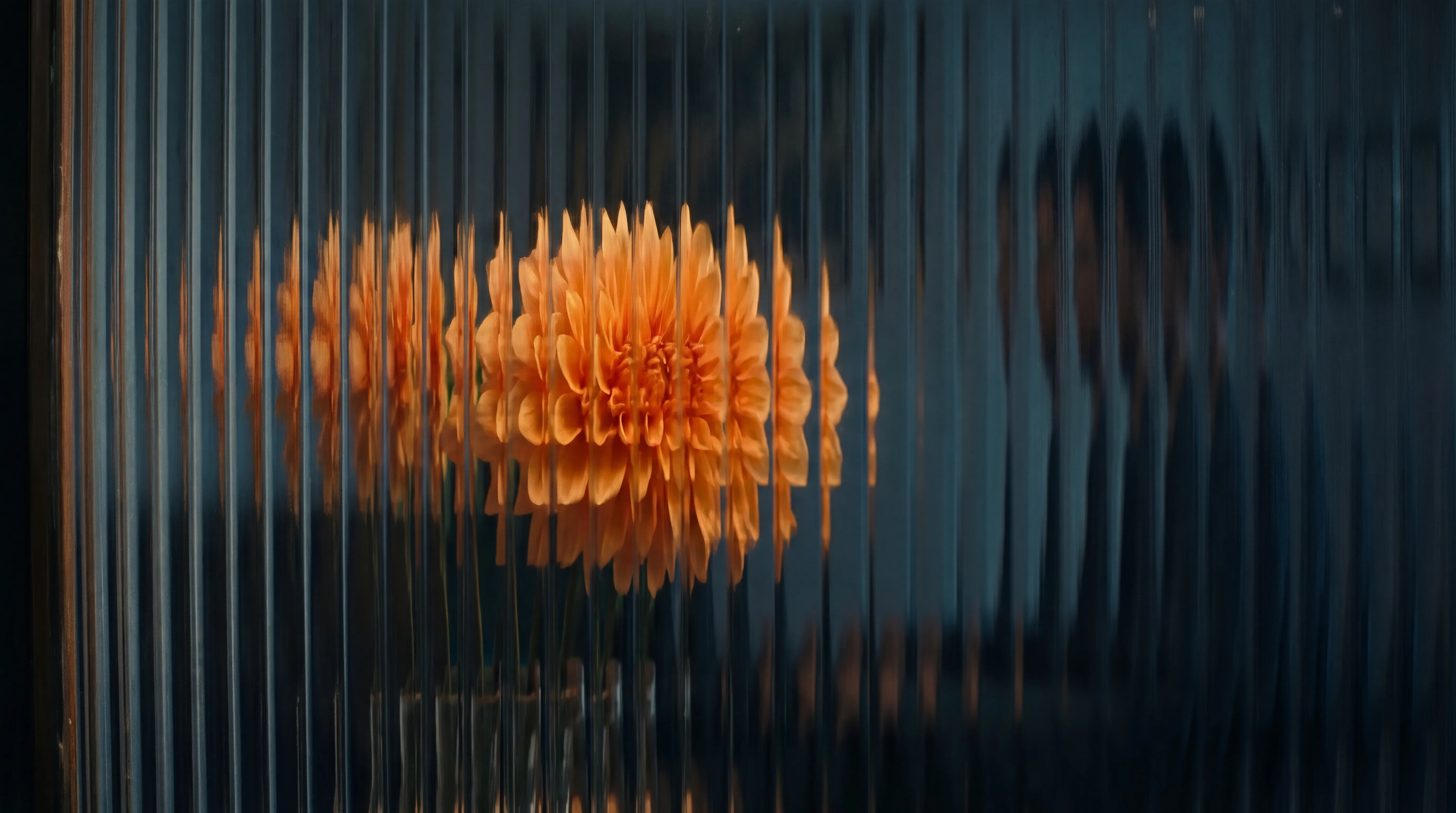 This cinematic still, captured with a slightly low-angle perspective, presents a dreamlike and abstract composition, reminiscent of a poetic art-house film. The scene is dominated by a soft, diffused light, creating an ethereal ambiance. The color palette is muted yet warm, featuring gentle oranges and yellows for the central subject, contrasted with cool blues and subtle greys in the background. The primary subject is a large, vibrant orange flower, seen through a textured, ribbed glass or translucent surface. This surface distorts the flower into a series of undulating vertical segments, giving it a soft, almost painterly quality. The petals appear full and layered, their warmth radiating softly through the diffusion. Behind the flower, a shadowy, indistinct human figure is visible, also fragmented and stretched by the ribbed surface. The figure's silhouette is dark, providing a strong contrast to the bright flower and hinting at a mysterious presence. The vertical lines of the textured glass create a sense of movement and depth, pulling the viewer's eye across the frame. The overall mood is one of quiet contemplation and subtle beauty, evoking a sense of intimacy and introspection, as if glimpsing a private moment through a veil. The composition uses leading lines and a shallow depth of field to draw focus to the delicate interplay between the flower and the obscured figure, creating a visually rich and emotionally resonant image.