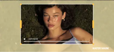 No Watermarks visual