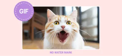 No Watermarks visual