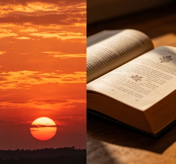 Sunset and open book split side by side merge.