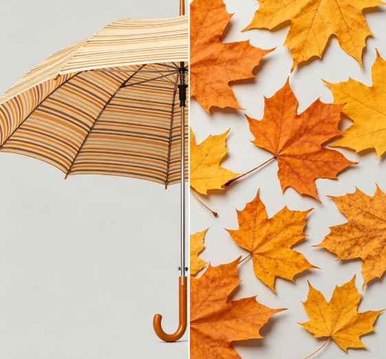 Striped umbrella and maple leaves split side by side merge.