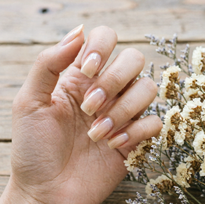 Hand resting on wooden table; nails have natural gradient from clear base to soft pink tip with gentle sheen; dried flowers beside enhance gentle everyday aesthetic.