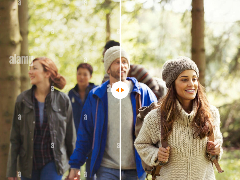 Free Alamy Watermark Remover Online - Before and After Demo
