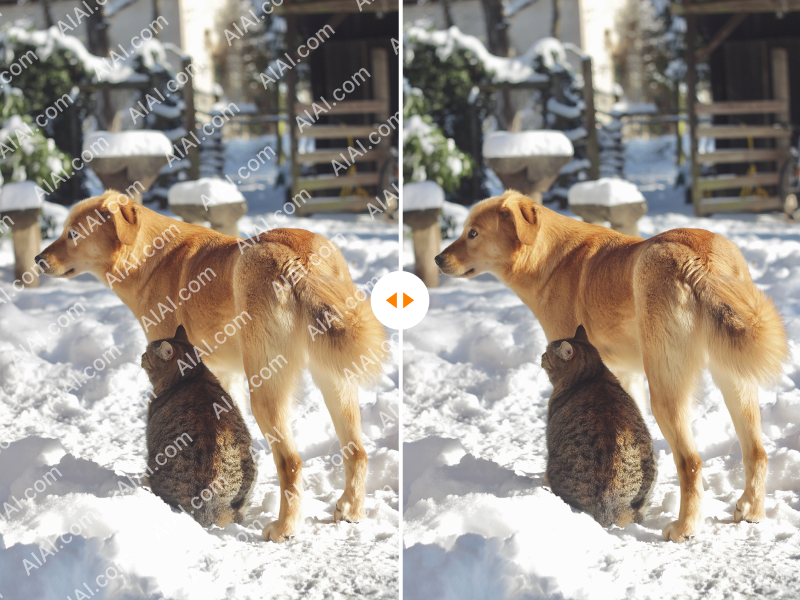 Before-and-after preview of batch watermark removal showing original images compared with cleaned results.