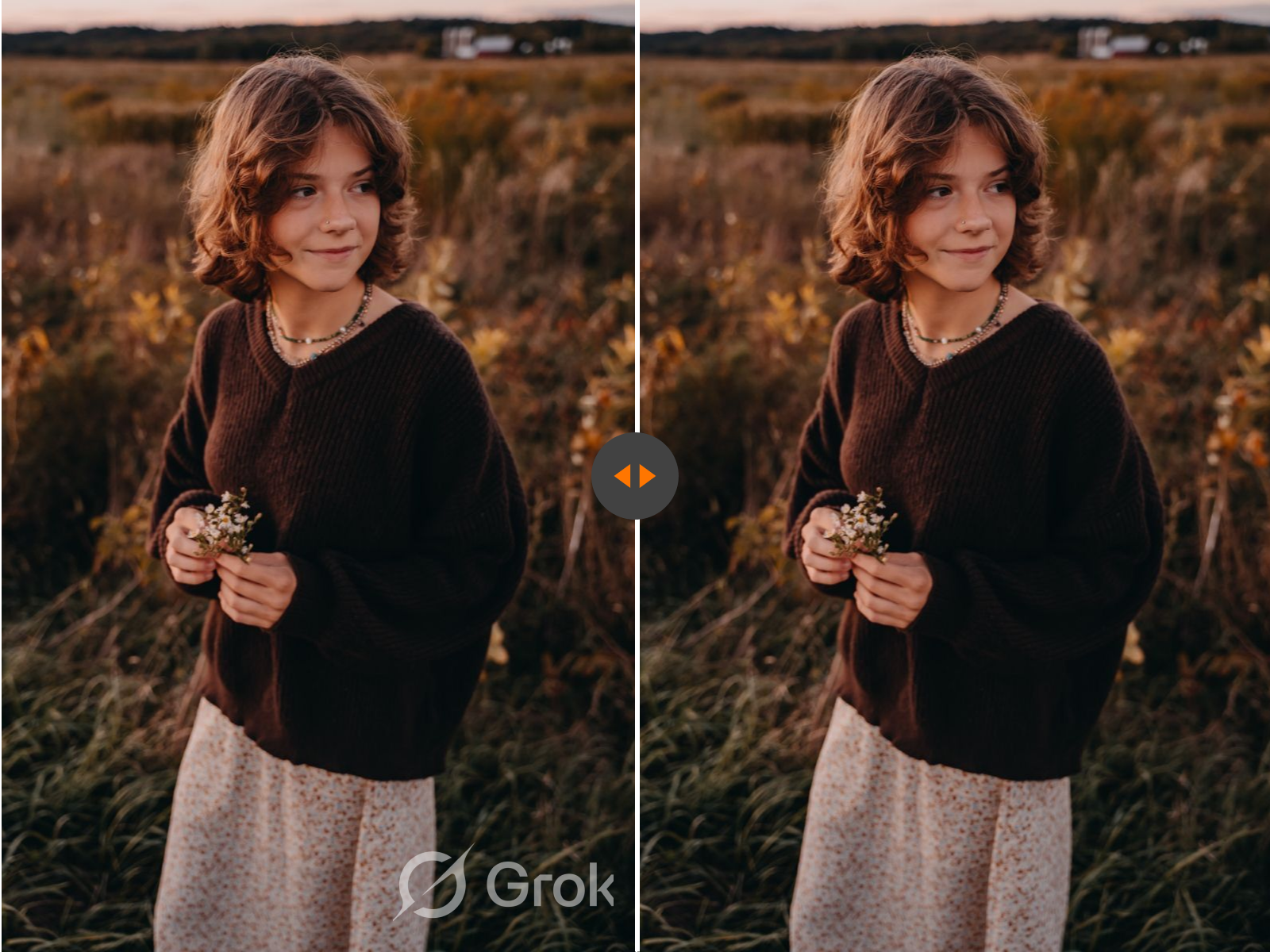 Grok watermark removal best-case example