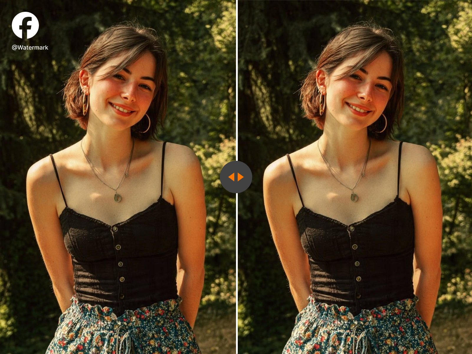 Facebook video watermark cleanup example