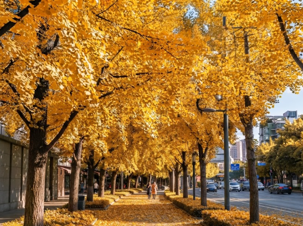 Same urban sidewalk transformed into late autumn. The ginkgo leaves are a brilliant, saturated golden yellow. A thick carpet of fallen yellow le