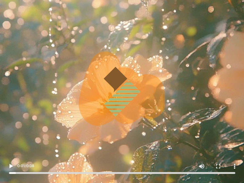 Three steps for removing a Filmora watermark from an authorized video export
