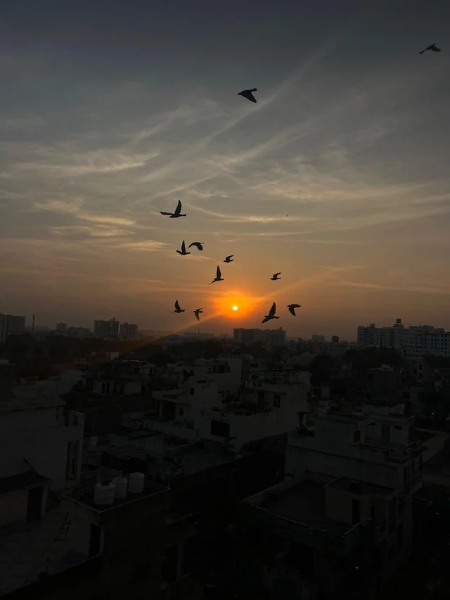 Sunset sky above a city with birds flying with a Watermark text overlay