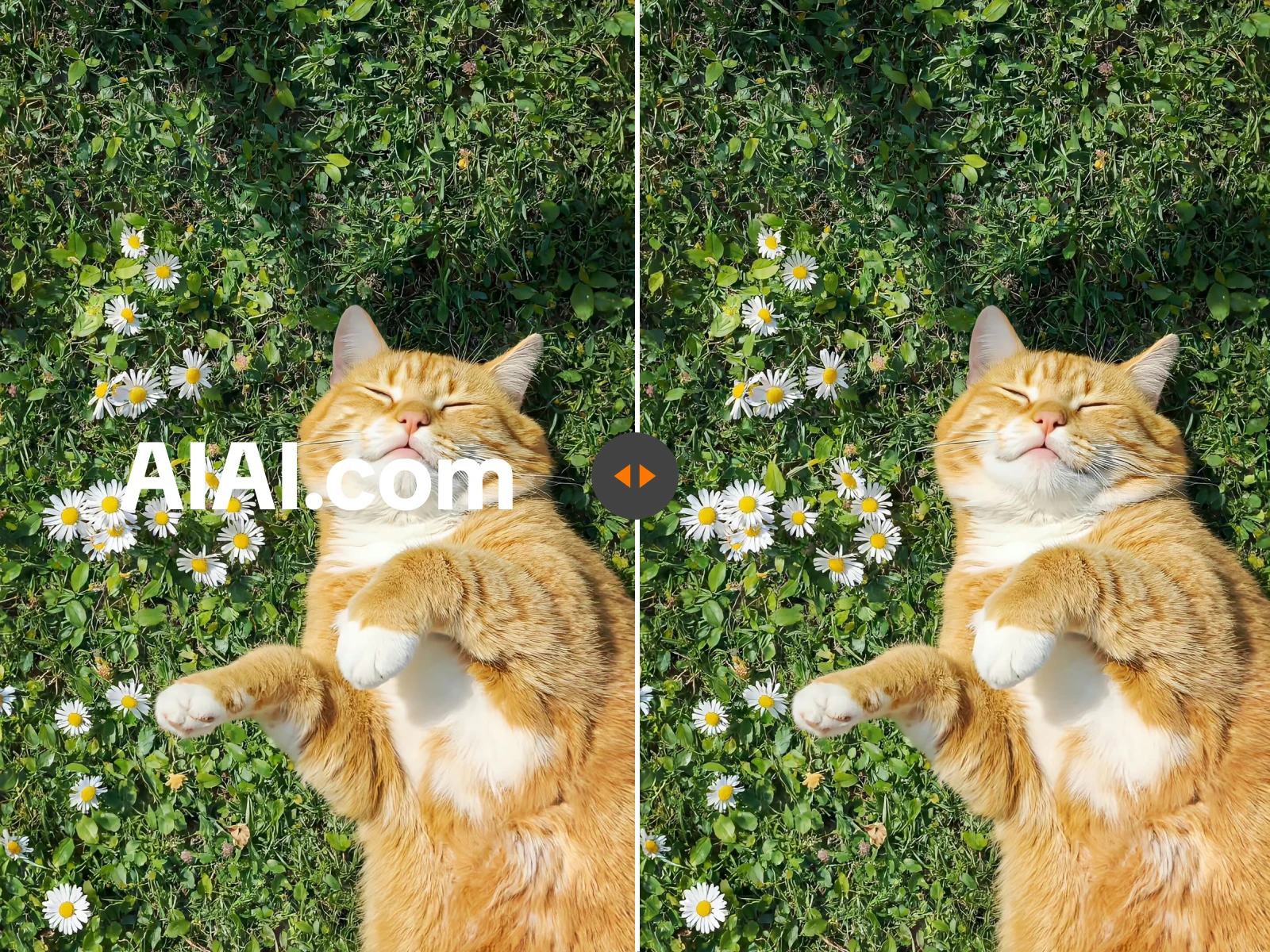 Watermark removal result comparison